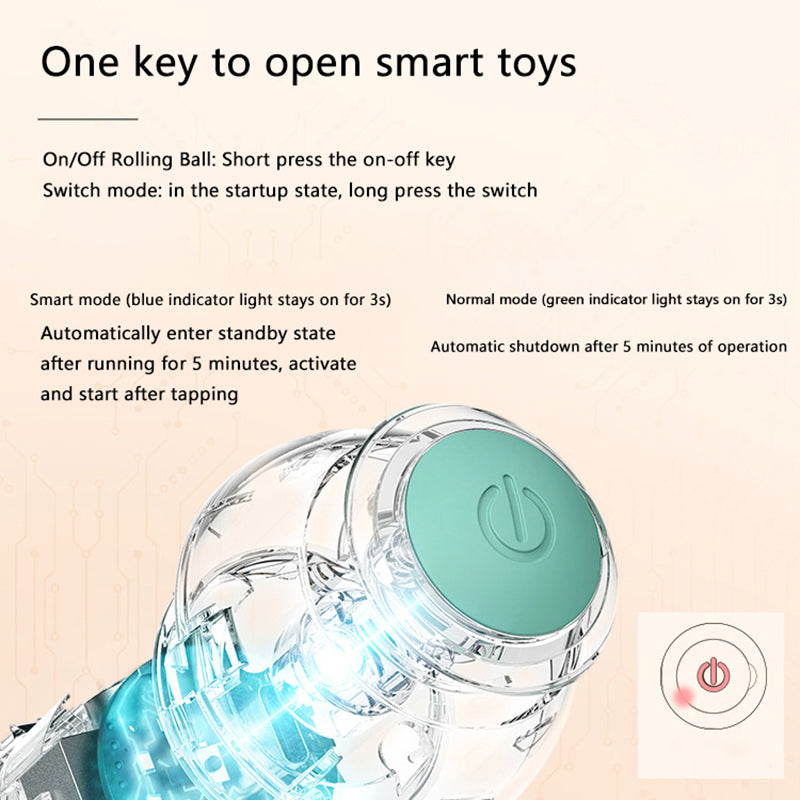 Interactive Pet Ball