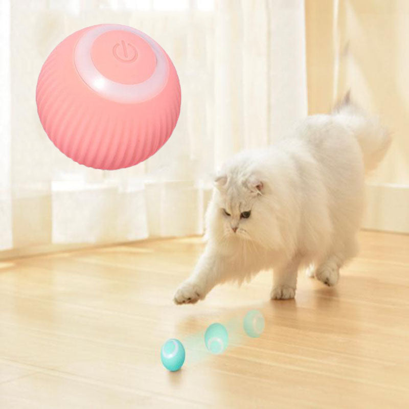 Interactive Pet Ball